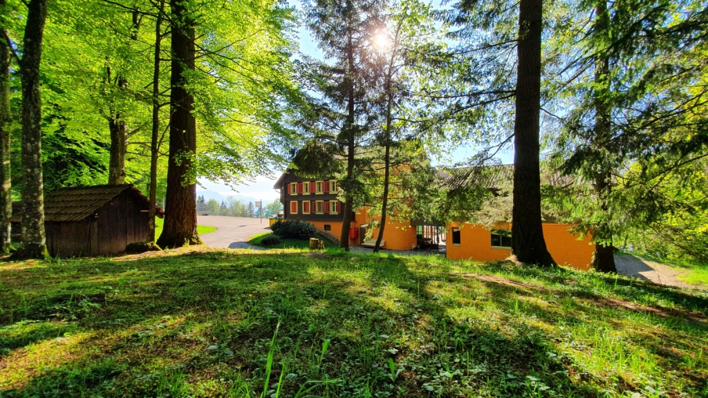 Haus im Wald