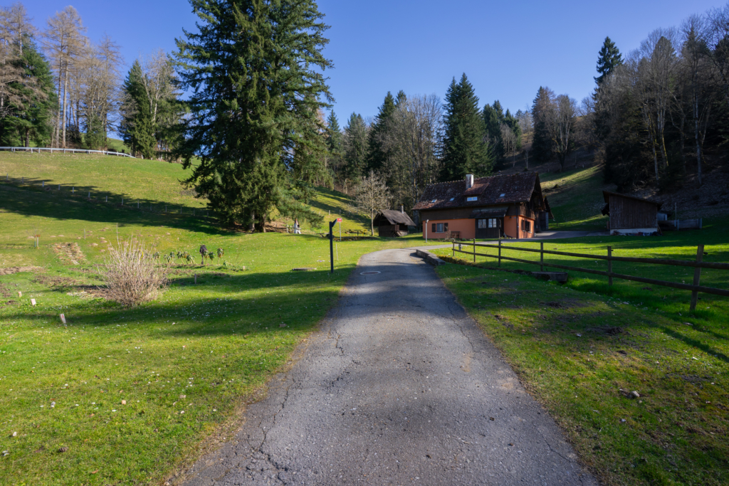 20250320 DSC3898