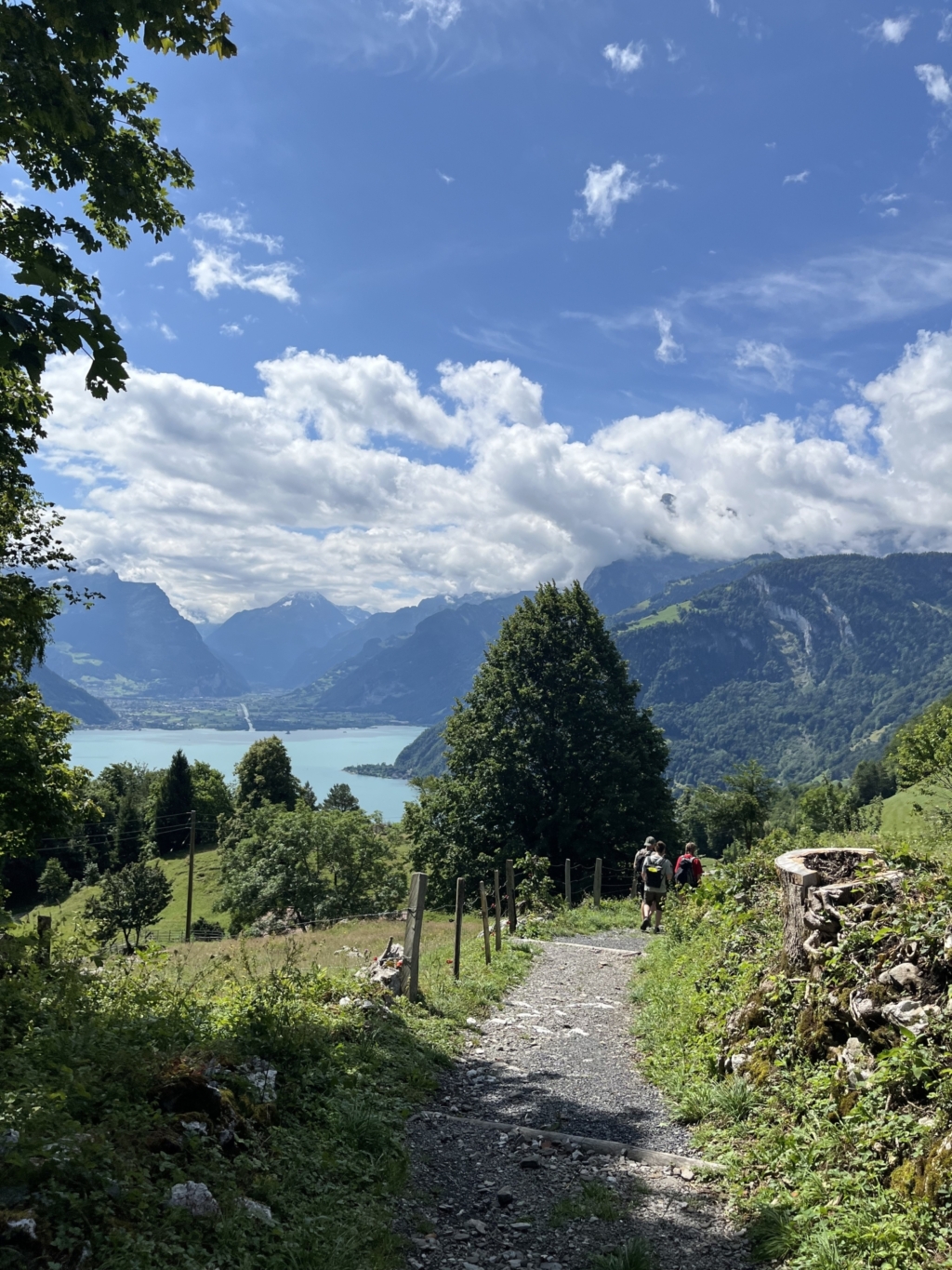 Bild 20250709 093447 ed03f7b8